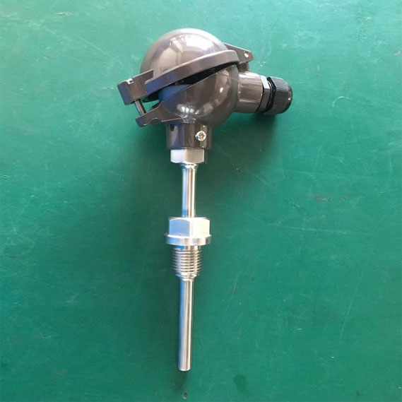 一體化數顯溫度（dù）傳感器