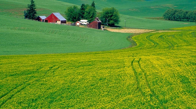 美（měi）國農場