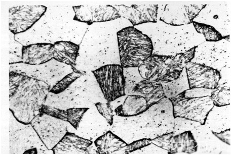 淬火後鐵素體低碳馬氏(shì)體